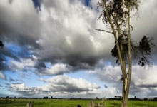 ios苹果战狼激活码商城版本-定时群发-6开版本